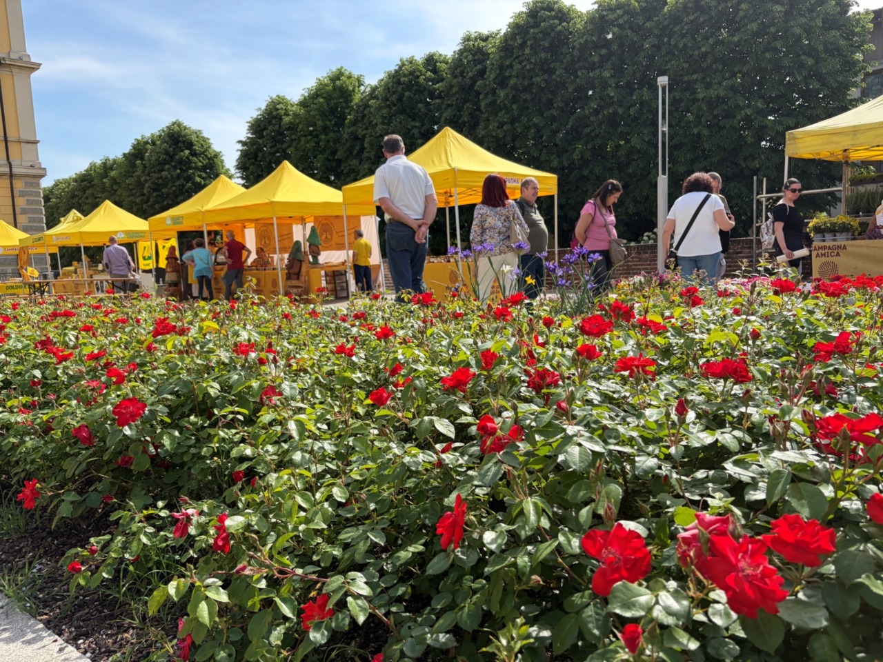 Torna il mercato di Campagna Amica a Soncino con prodotti agricoli e iniziative benefiche