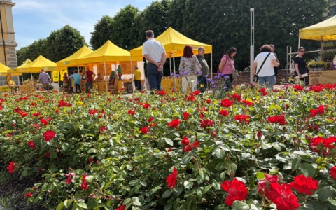 Torna il mercato di Campagna Amica a Soncino con prodotti agricoli e iniziative benefiche