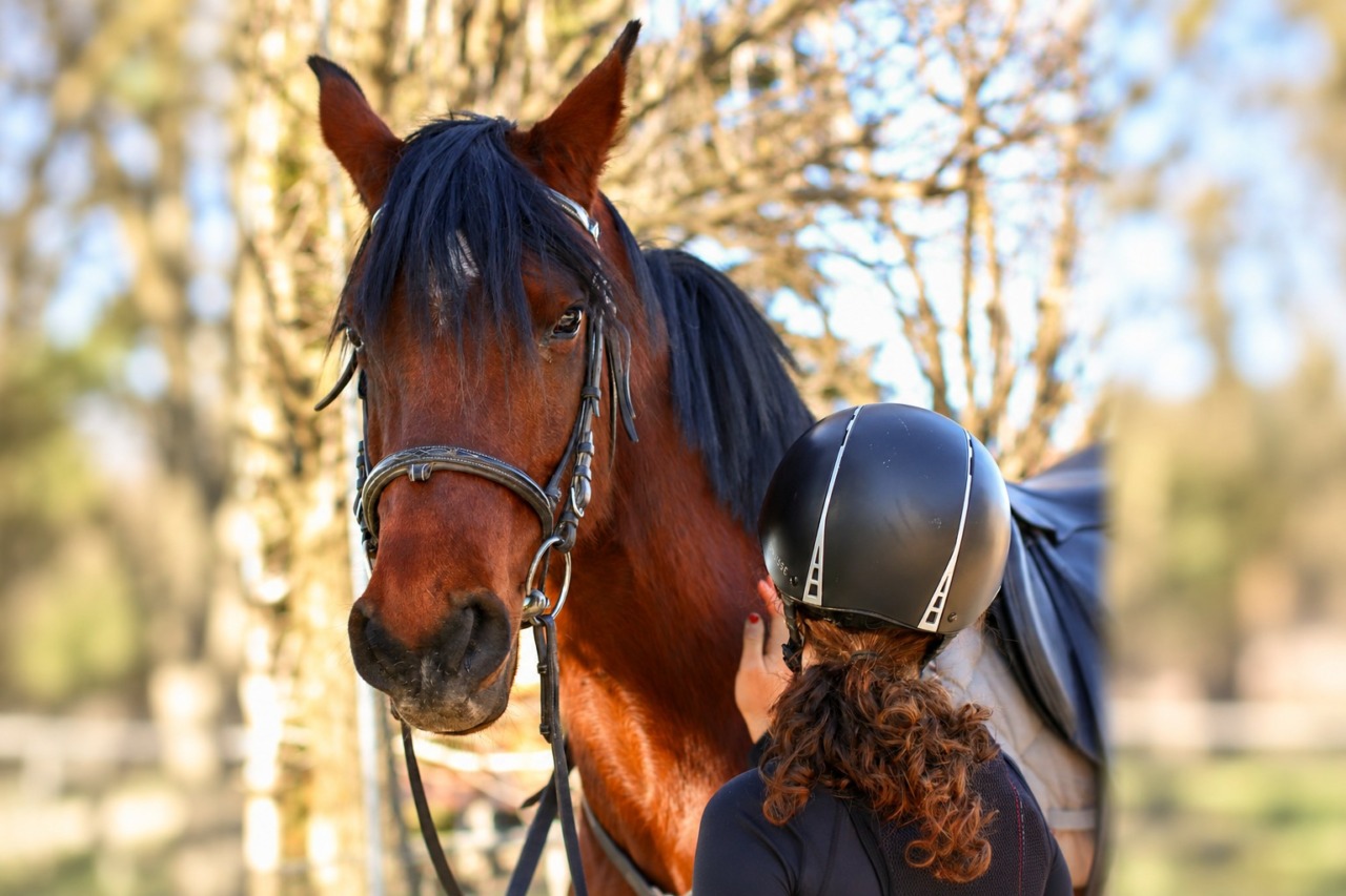 Quanto costa davvero iniziare ad andare a cavallo