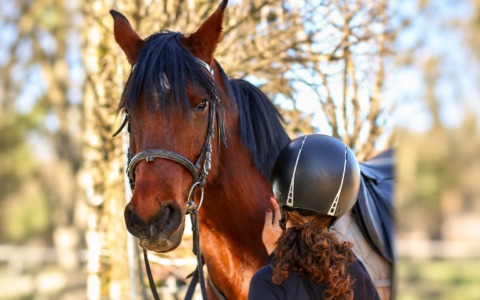 Quanto costa davvero iniziare ad andare a cavallo