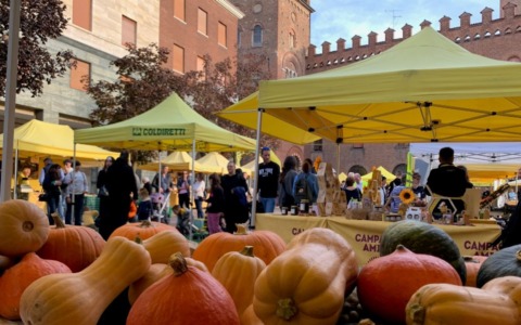 Festa della Zucca a Cremona: domenica 25 ottobre mercato contadino e street food in piazza Stradivari