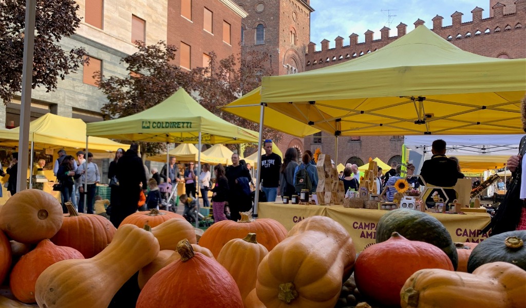 Festa della Zucca a Cremona: domenica 25 ottobre mercato contadino e street food in piazza Stradivari