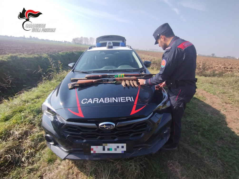 Minori con un fucile da caccia carico nel capanno venatorio: denunciato il nonno